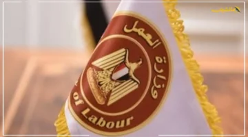 رسميًا.. قانون العمل الجديد يحدد سقفًا لساعات العمل بـ 8 يوميًا وراحة إجبارية إليك أبرز تفاصيل تنظيم ساعات التشغيل. 1